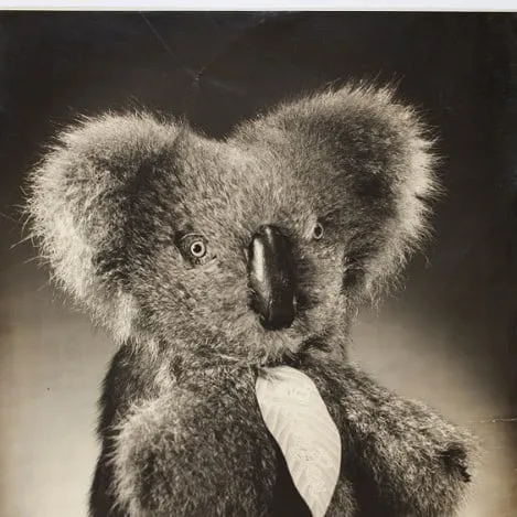 Capa do episódio #119: “Aussie Bear toy koala” por Milton Kent e Noel Rubie, 1944