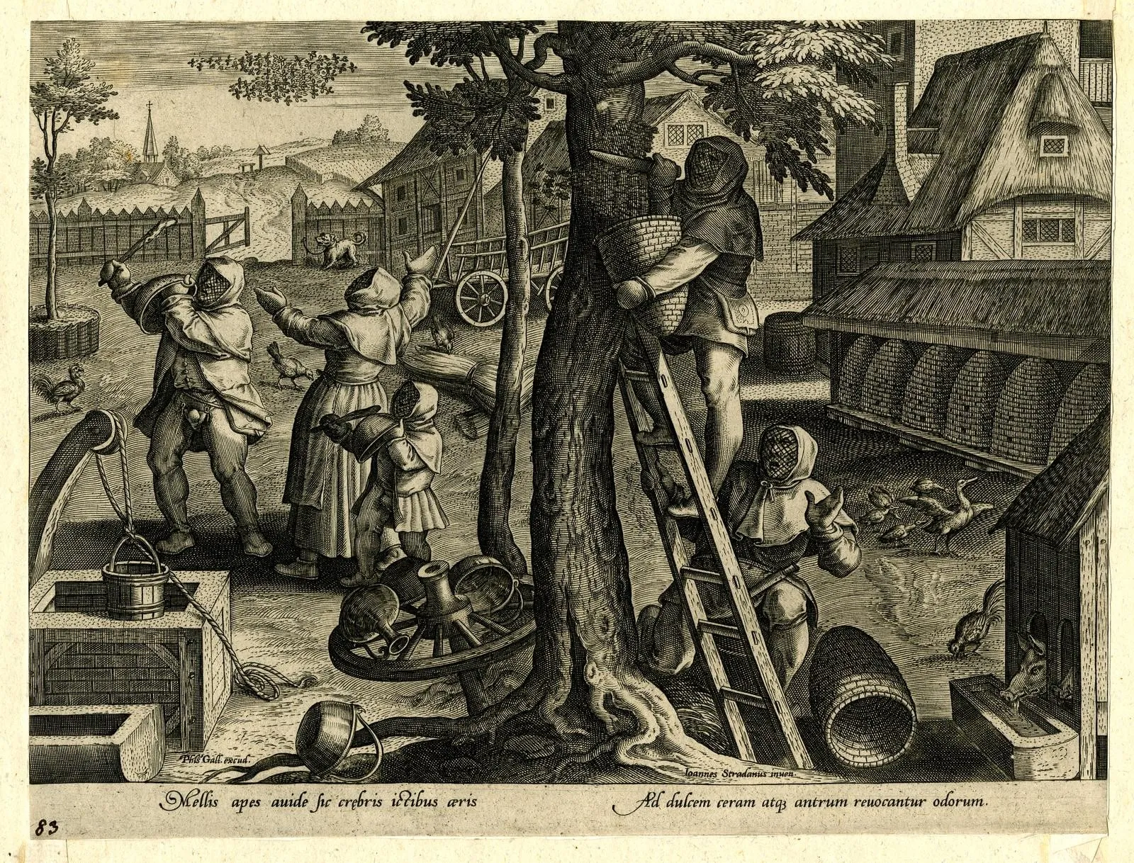 Capa do episódio #24: Coleta de um enxame de abelhas, da série Venationes Ferarum, Avium, Piscium, Philips Galle, a partir de Jan van der Straet / British Museum. Domínio público, via Wikimedia Commons
